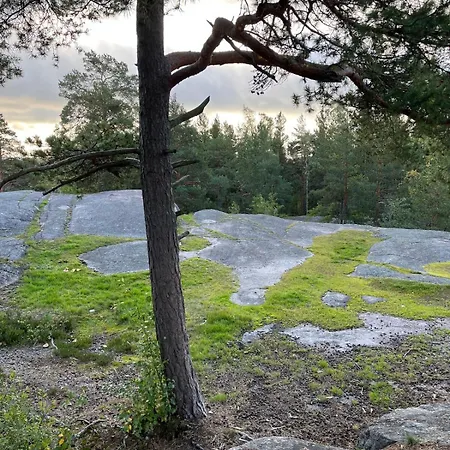 Quiet Close To The Mall And The Metro