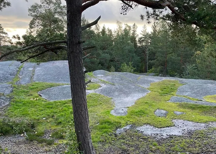 Quiet Close To The Mall And The Metro